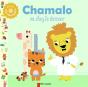 Chamalo Va Chez Le Docteur - Preview