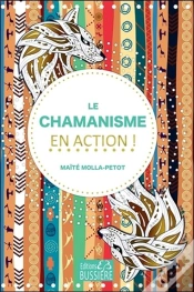 Capa do artigo Chamanisme En Action