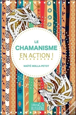 Capa do artigo Chamanisme En Action
