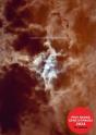 Chambre 207 - Preview