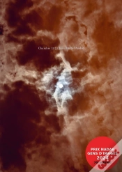 Capa do artigo Chambre 207