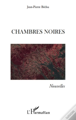 Capa do artigo Chambres Noires