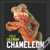 Capa do artigo Chameleon Calendar 2022