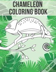 Chameleon Coloring Book