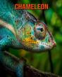 Chameleon - Preview