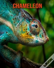 Capa do artigo Chameleon