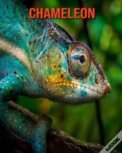 Capa do artigo Chameleon