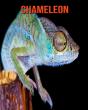 Chameleon - Preview