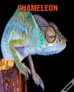 Capa do artigo Chameleon