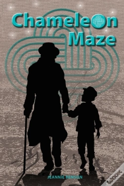 Capa do artigo Chameleon Maze