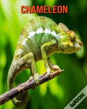 Chameleon