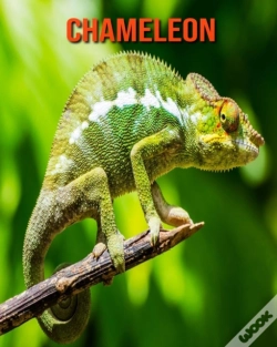 Capa do artigo Chameleon