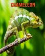 Chameleon - Preview