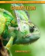 Chameleon - Preview