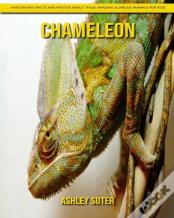 Chameleon