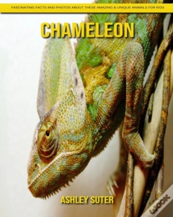 Capa do artigo Chameleon