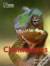 Capa do artigo Chameleons