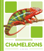 Chameleons - Preview