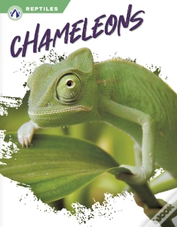 Capa do artigo Chameleons