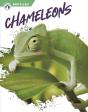 Chameleons - Preview