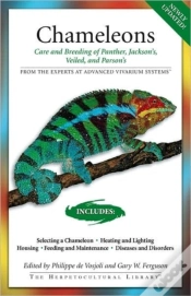 Capa do artigo Chameleons
