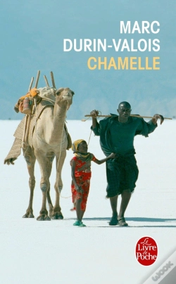 Capa do artigo Chamelle