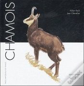 Capa do artigo Chamois