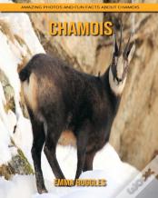 Chamois