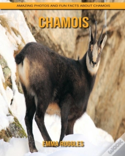 Capa do artigo Chamois