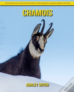 Capa do artigo Chamois