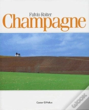 Capa do artigo Champagne