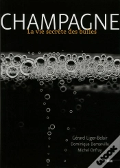 Capa do artigo Champagne !