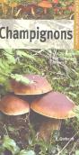 Champignons (2e Édition) - Preview