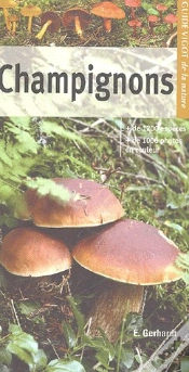 Capa do artigo Champignons (2e Édition)