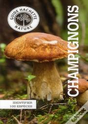 Champignons