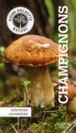 Capa do artigo Champignons