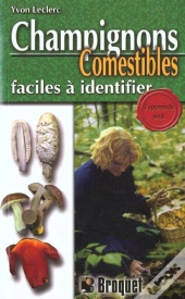 Champignons Comestibles Faciles A Identifier