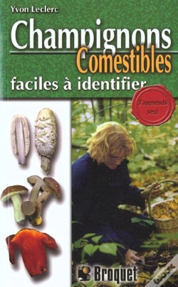 Capa do artigo Champignons Comestibles Faciles A Identifier