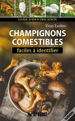 Capa do artigo Champignons Comestibles Faciles À Identifier N.E.