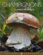 Champignons Comestibles - Preview