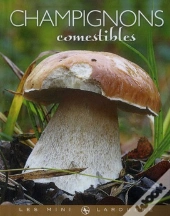 Champignons Comestibles