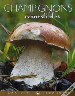 Capa do artigo Champignons Comestibles