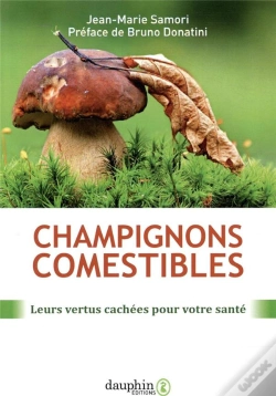 Capa do artigo Champignons Comestibles ; Leurs Vertus Cachées Pour Votre Santé