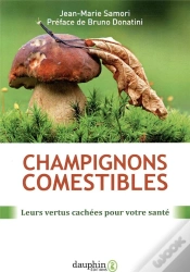 Capa do artigo Champignons Comestibles ; Leurs Vertus Cachées Pour Votre Santé