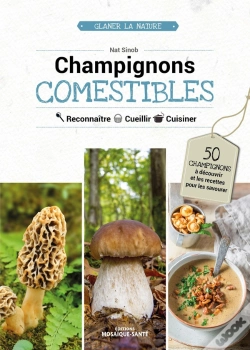 Capa do artigo Champignons Comestibles