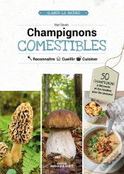 Capa do artigo Champignons Comestibles