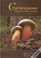 Capa do artigo Champignons D