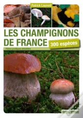 Champignons De France ; 300 Espèces