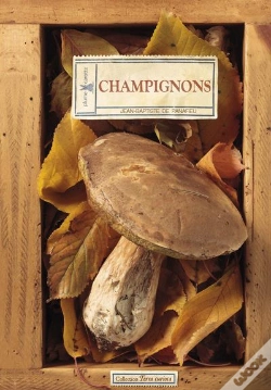 Capa do artigo Champignons