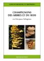 Champignons Des Arbres Et Du Bois - Preview